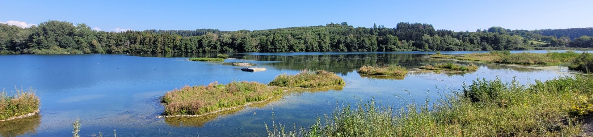 Ein renaturierter Baggersee mit kleinen Inseln für Vögel und Tiere. 